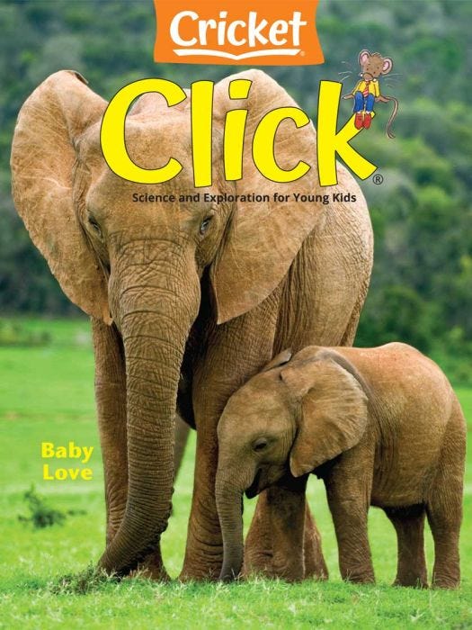 CLICK Magazine May 2024: Baby Love for Kids 3-6