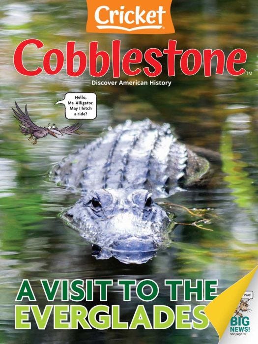 COBBLESTONE Magazine July-August 2025: A Visit to the Everglades for Kids 9-14