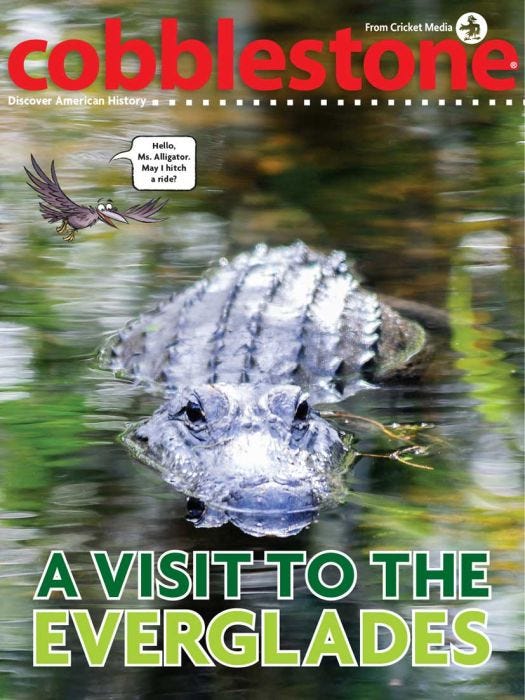 COBBLESTONE Magazine May 2018: A Visit to the Everglades for Kids 9-14