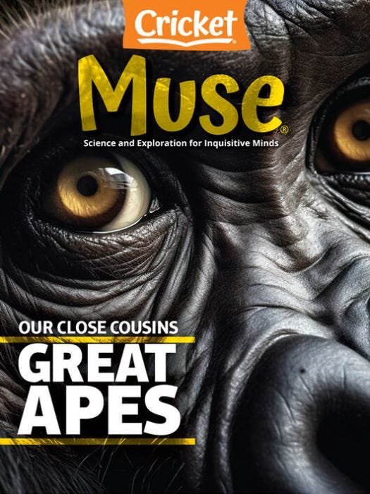 MUSE Magazine April 2024: Great Apes for Kids 9-14