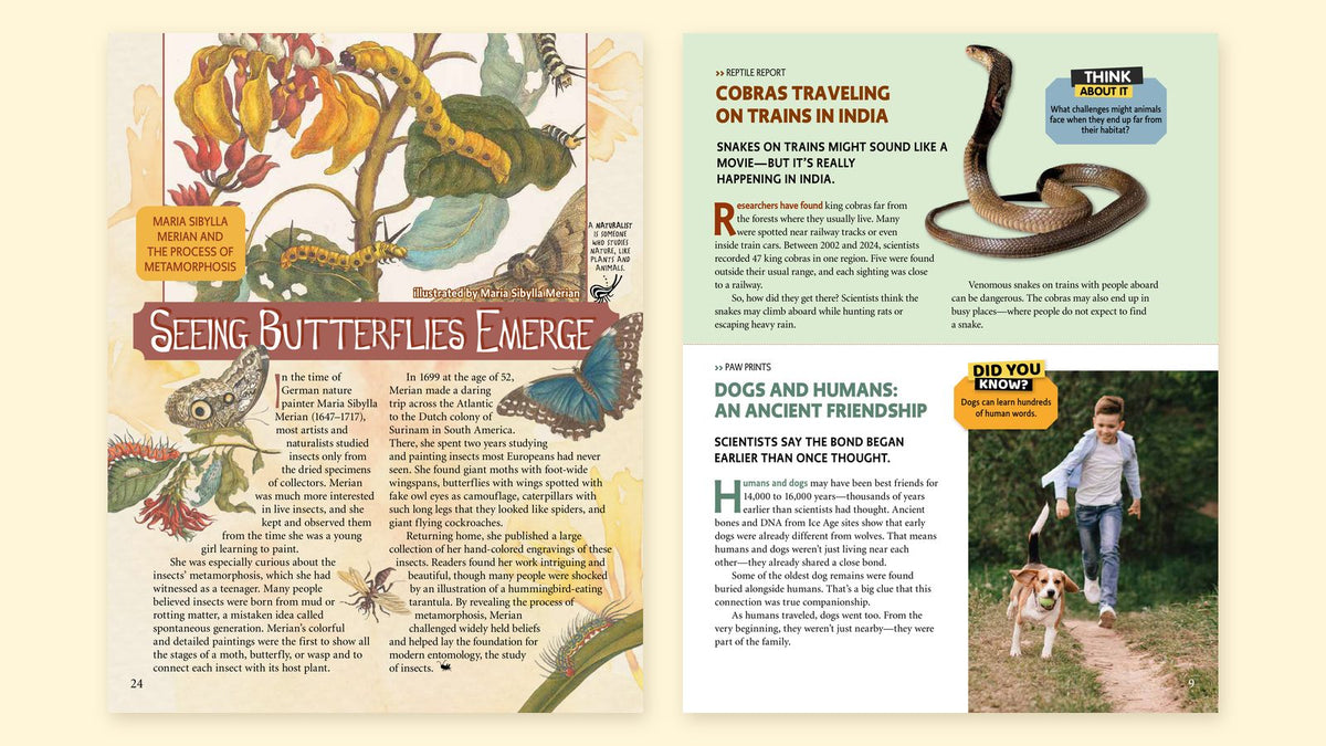 STEM Feature Articles