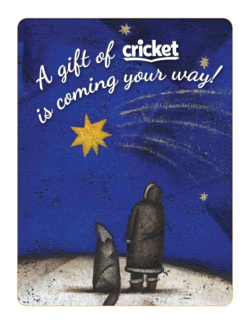 Gift announcement with a person looking at a shooting star against a blue night sky, featuring the Cricket logo.