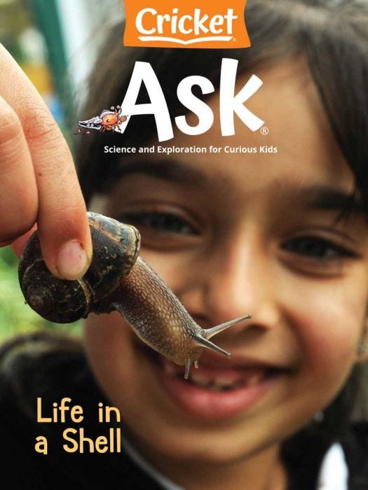 ASK Magazine July 2021: Life in a Shell for Kids 6-9