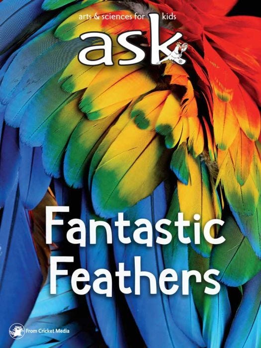ASK Magazine July 2018: Fantastic Feathers for Kids 6-9