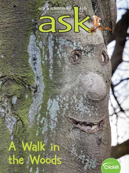 ASK Magazine March 2020: A Walk in the Woods for Kids 6-9