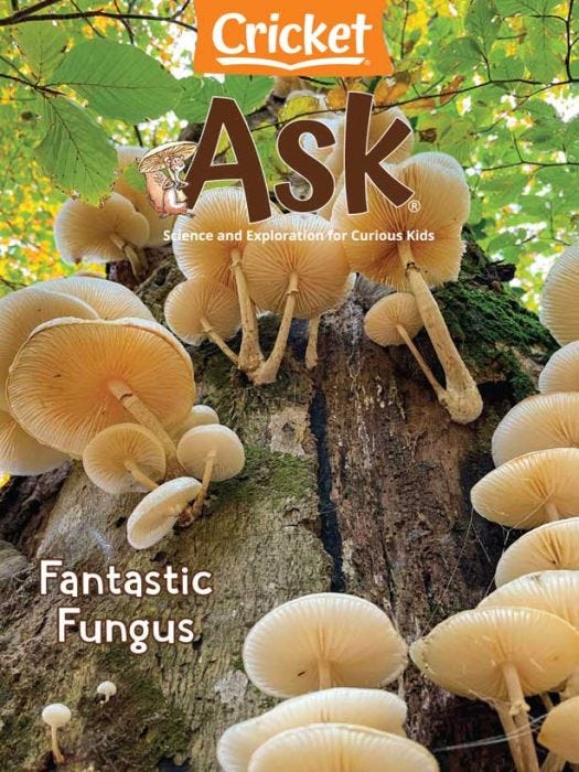 ASK Magazine May 2022: Fantastic Fungus for Kids 6-9