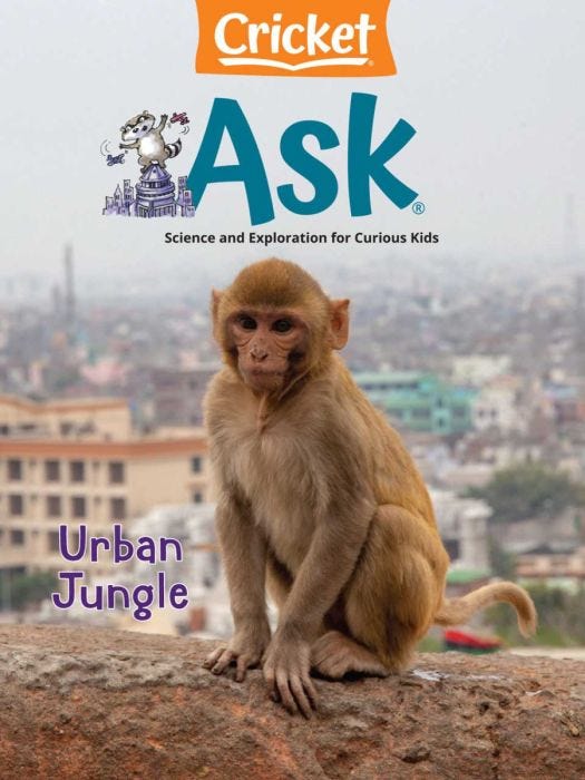 ASK Magazine May 2024: Urban Jungle for Kids 6-9