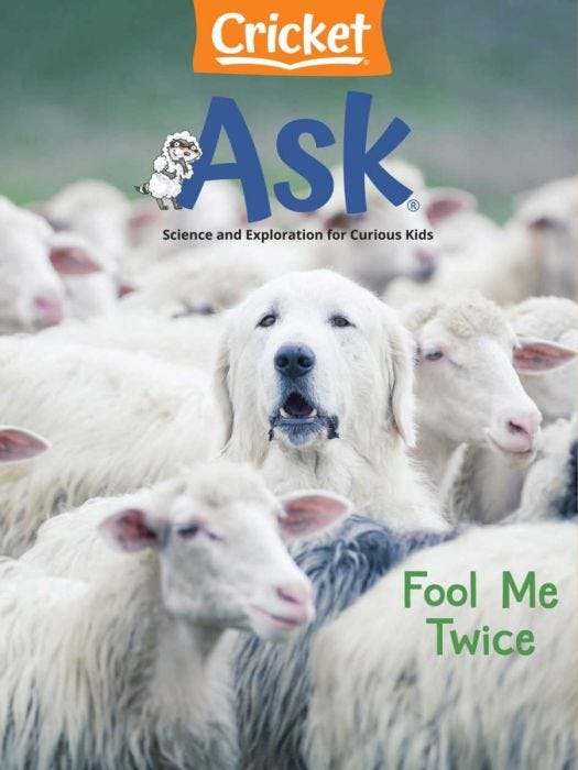 ASK Magazine October 2021: Fool Me Twice for Kids 6-9