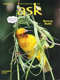ASK Magazine July 2010: Born to Build for Kids 6-9