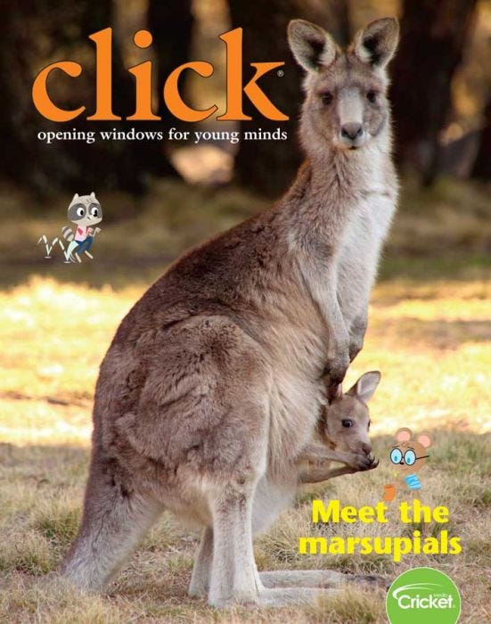 CLICK Magazine July 2019: Meet the Marsupials for Kids 3-6
