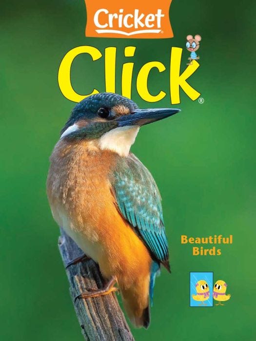CLICK Magazine May 2022: Beautiful Birds for Kids 3-6