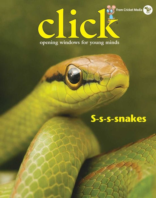 CLICK Magazine November 2018: Snakes for Kids 3-6
