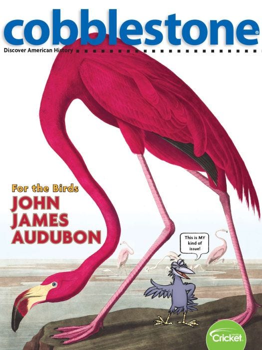 COBBLESTONE Magazine September 2020: John James Audubon: This Is For the Birds! for Kids 9-14
