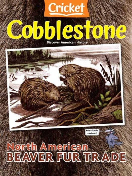 COBBLESTONE Magazine September 2022: North American Beaver Fur Trade for Kids 9-14