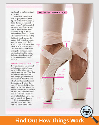 Anatomy of a pointe shoe with labeled parts and text on a white background.
