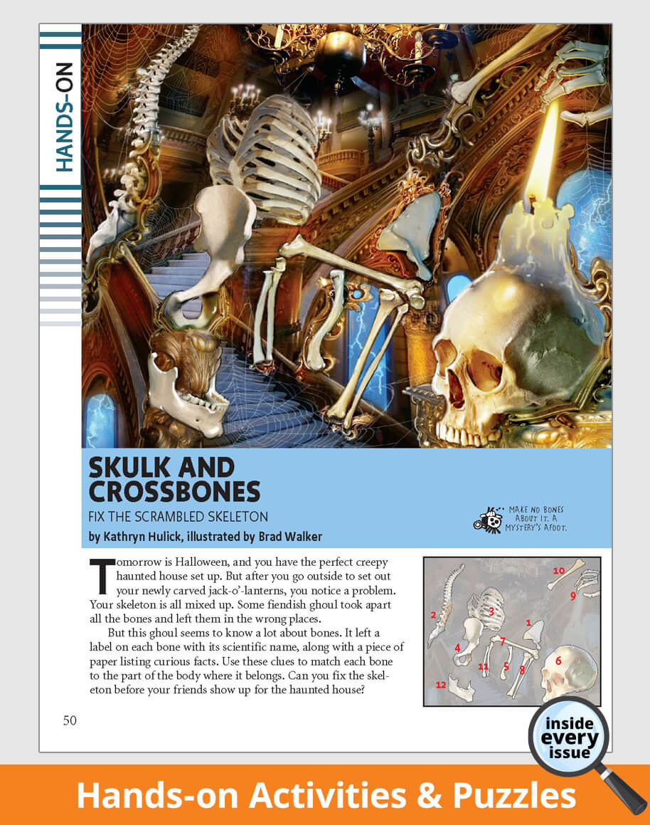 Illustrated skeleton and candle, featuring text about hands-on activities and puzzles.