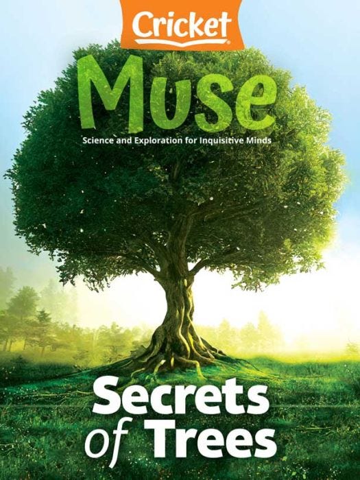 MUSE Magazine April 2023: Secrets of Trees for Kids 9-14