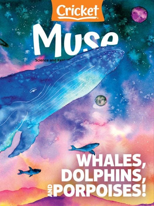 MUSE Magazine February 2022: Whales, Dolphins, and Porpoises! for Kids 9-14