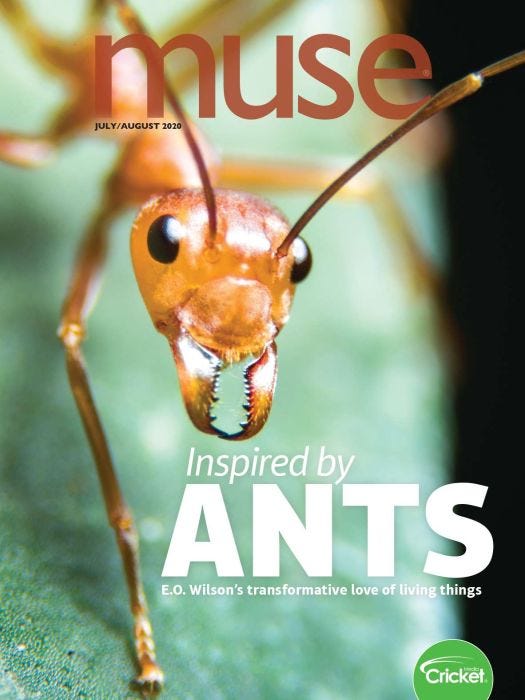 MUSE Magazine July 2020: Inspired By Ants for Kids 9-14