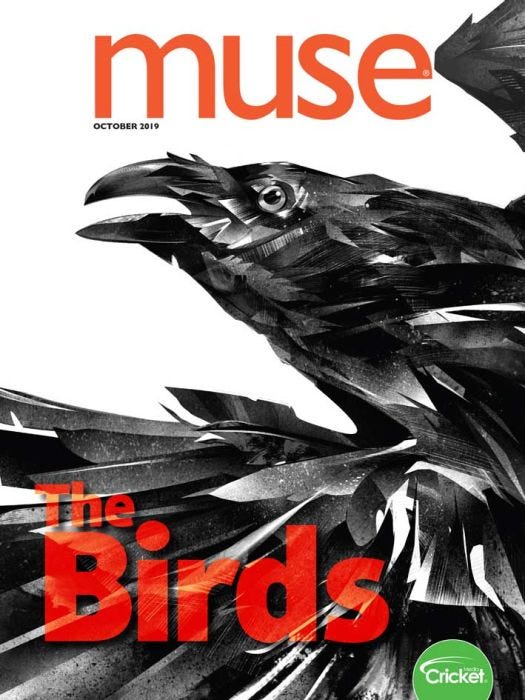 MUSE Magazine October 2019: The Birds for Kids 9-14