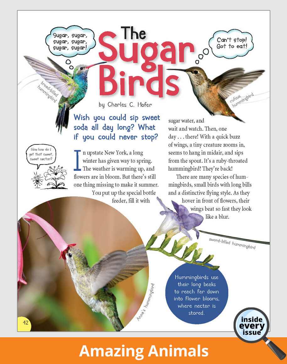 SPIDER Magazine for Kids Ages 6-9