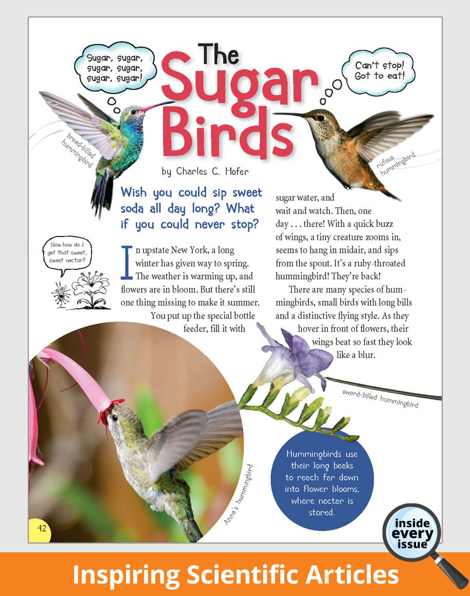 SPIDER Magazine | 25% Off | Award-Winning Stories, Art & STEM Ages